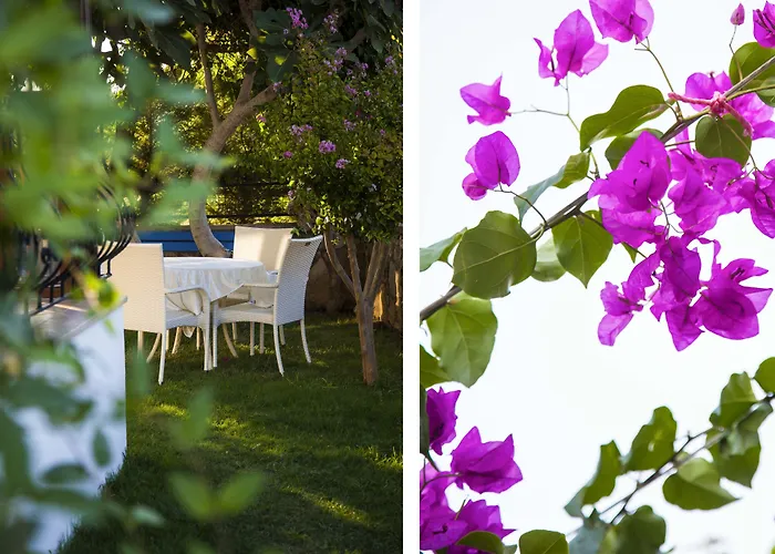 Sato Butik Датча